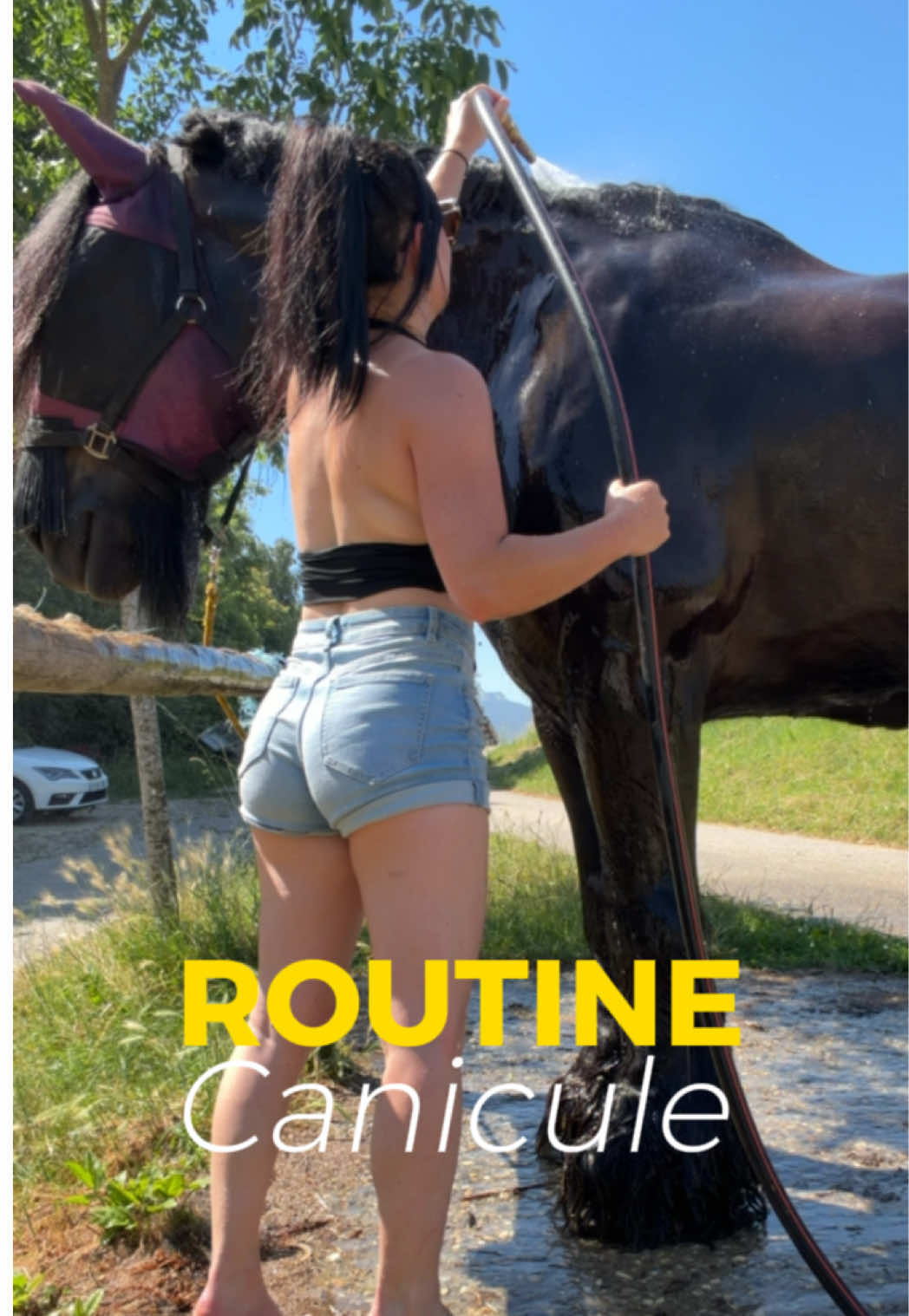 @Untraitdecheval