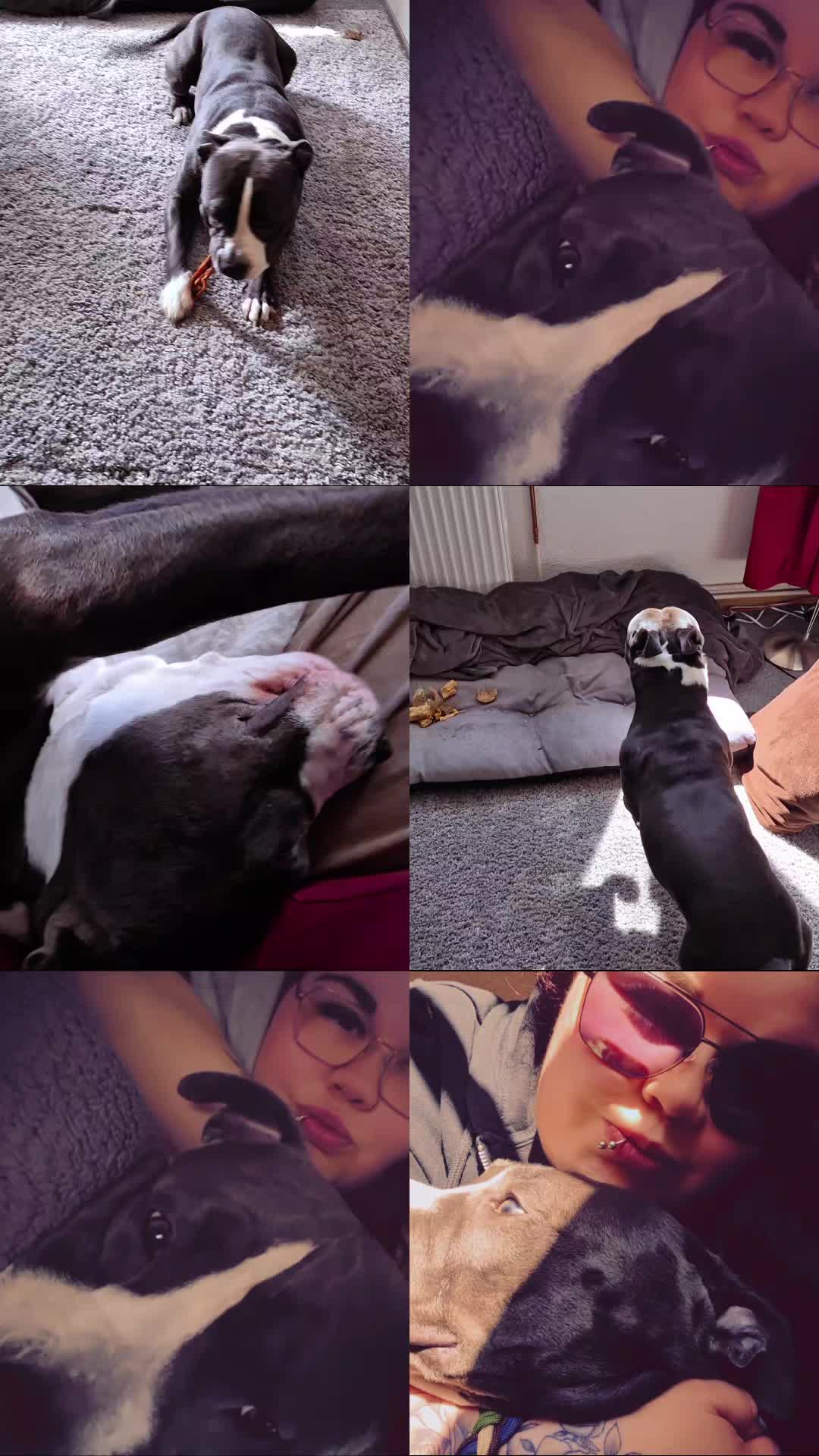 @_ankerweib_aris_