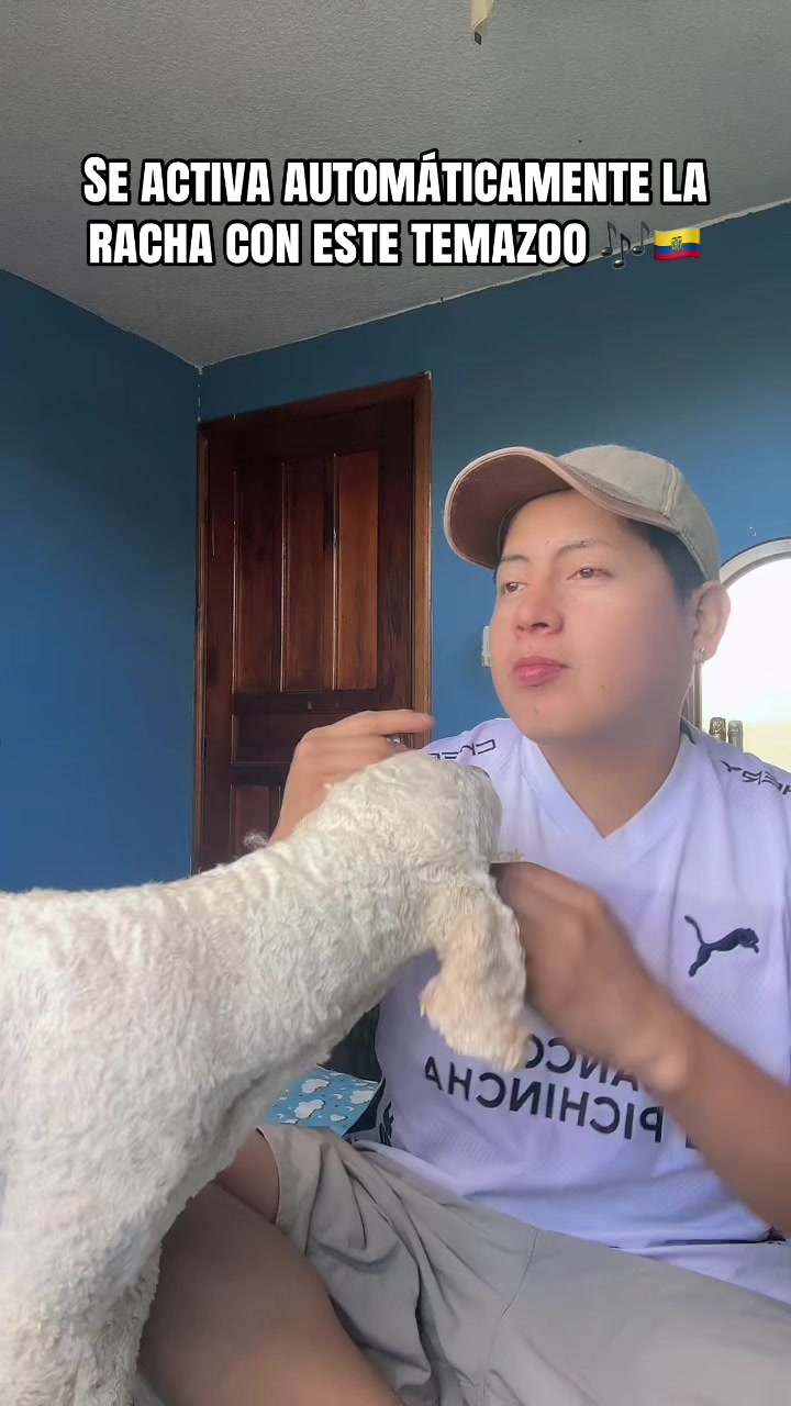 @Lumi.real