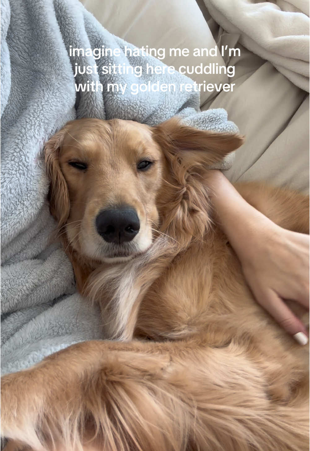 @novathegoldenn