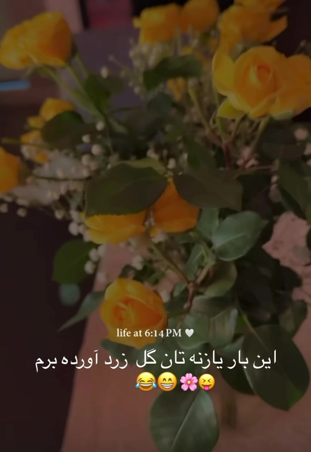 @♡𝑌𝑎𝑠𝑚𝑖𝑛☜♡☞𝐵𝑎𝑟𝑎𝑎♡