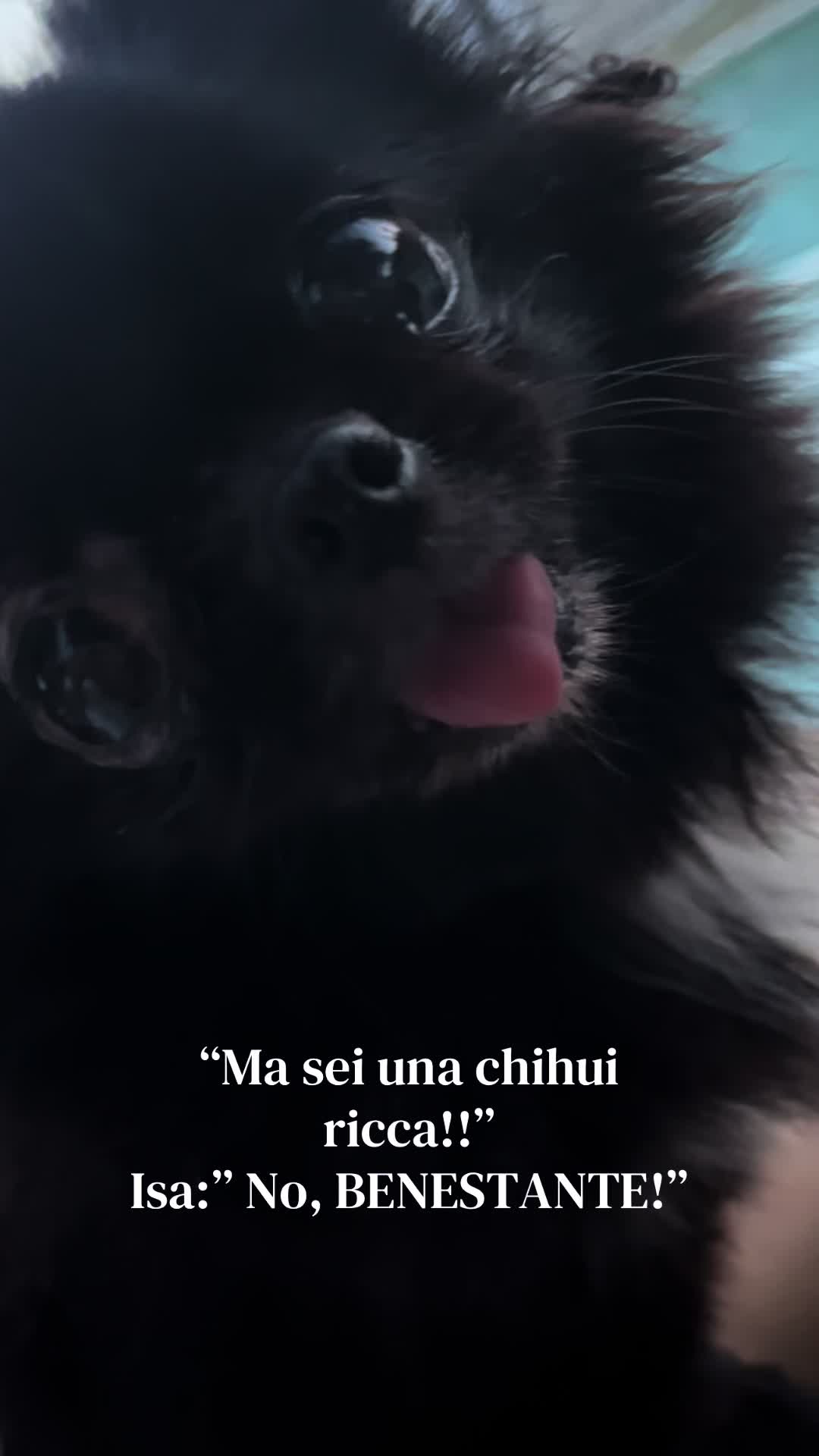 @ludovica.pieraccioni