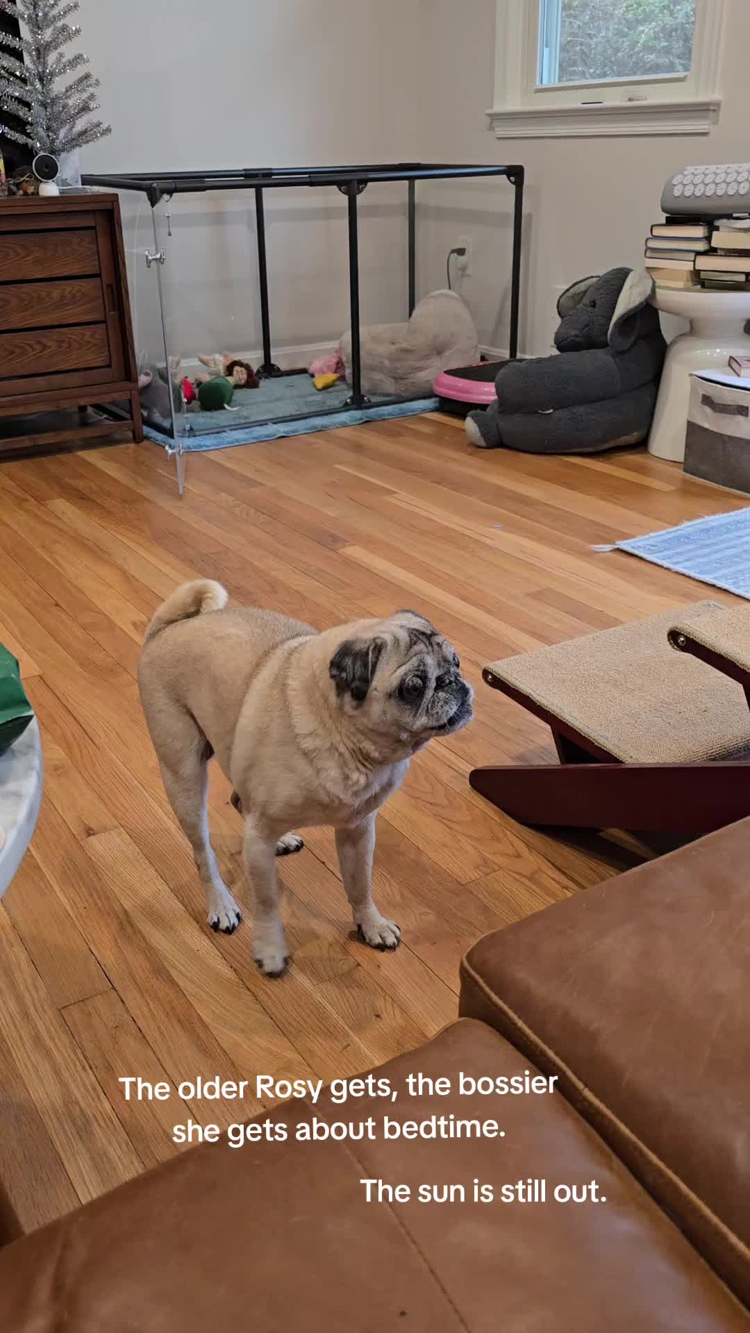 @Bah Humpug