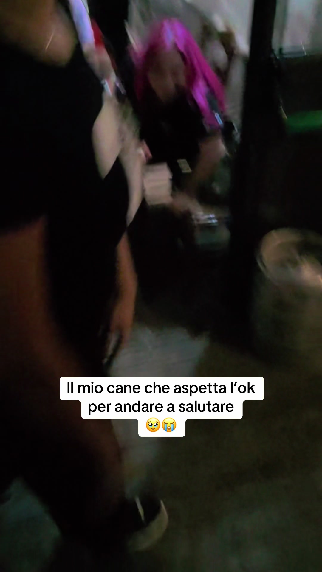@Edopit94