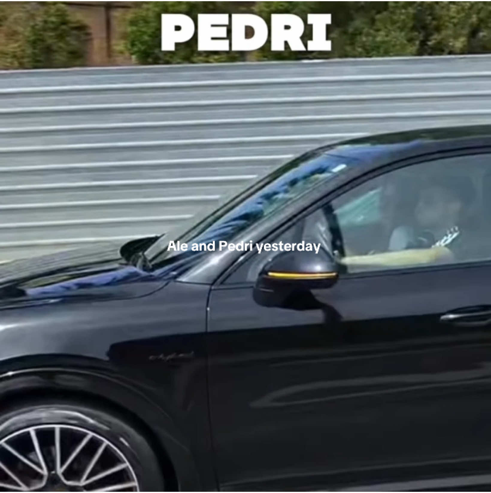 @alepedri.updates