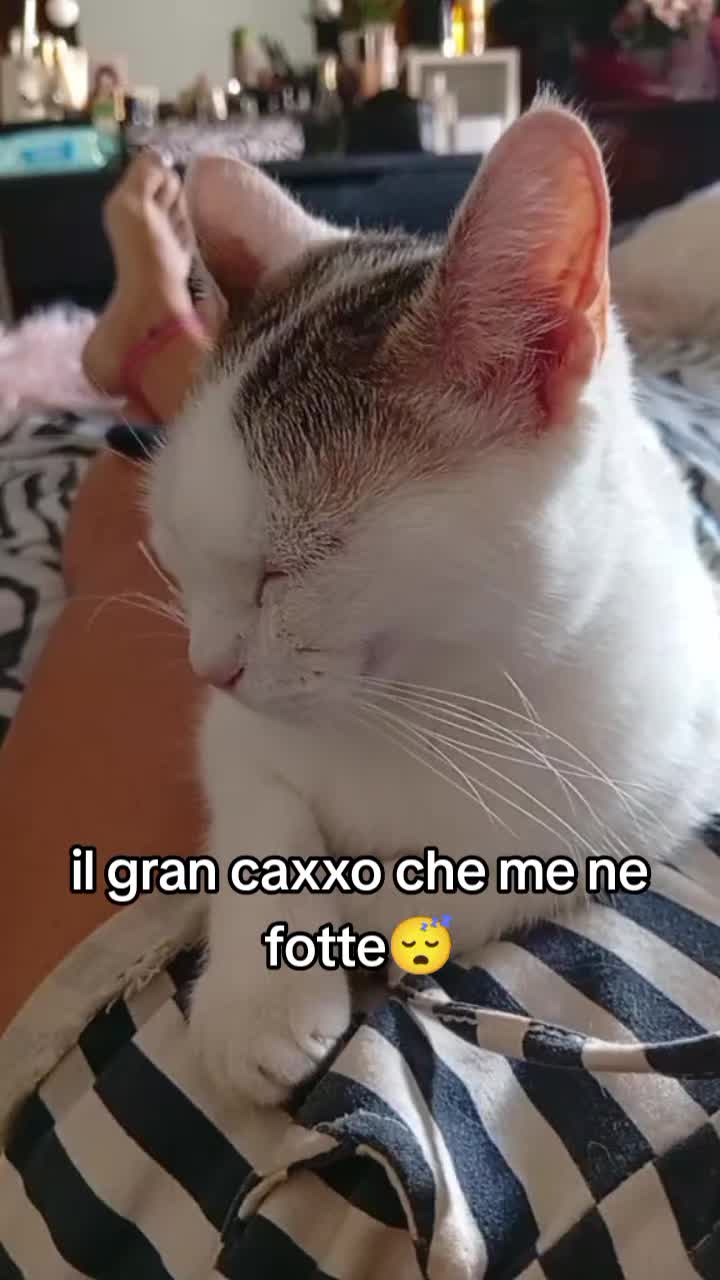 @Diavoletta_pazzaa