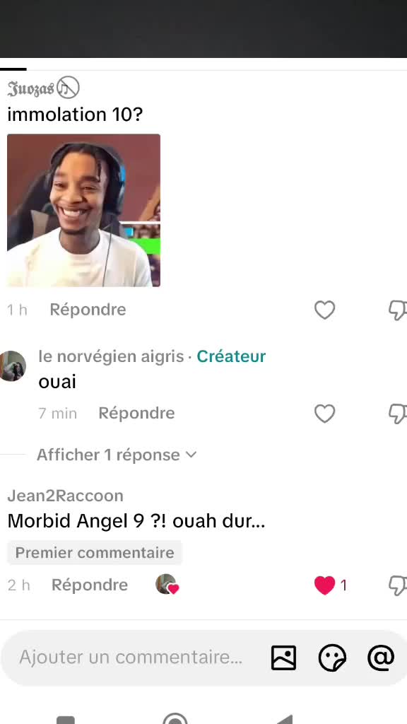 @le norv&eacute;gien aigris