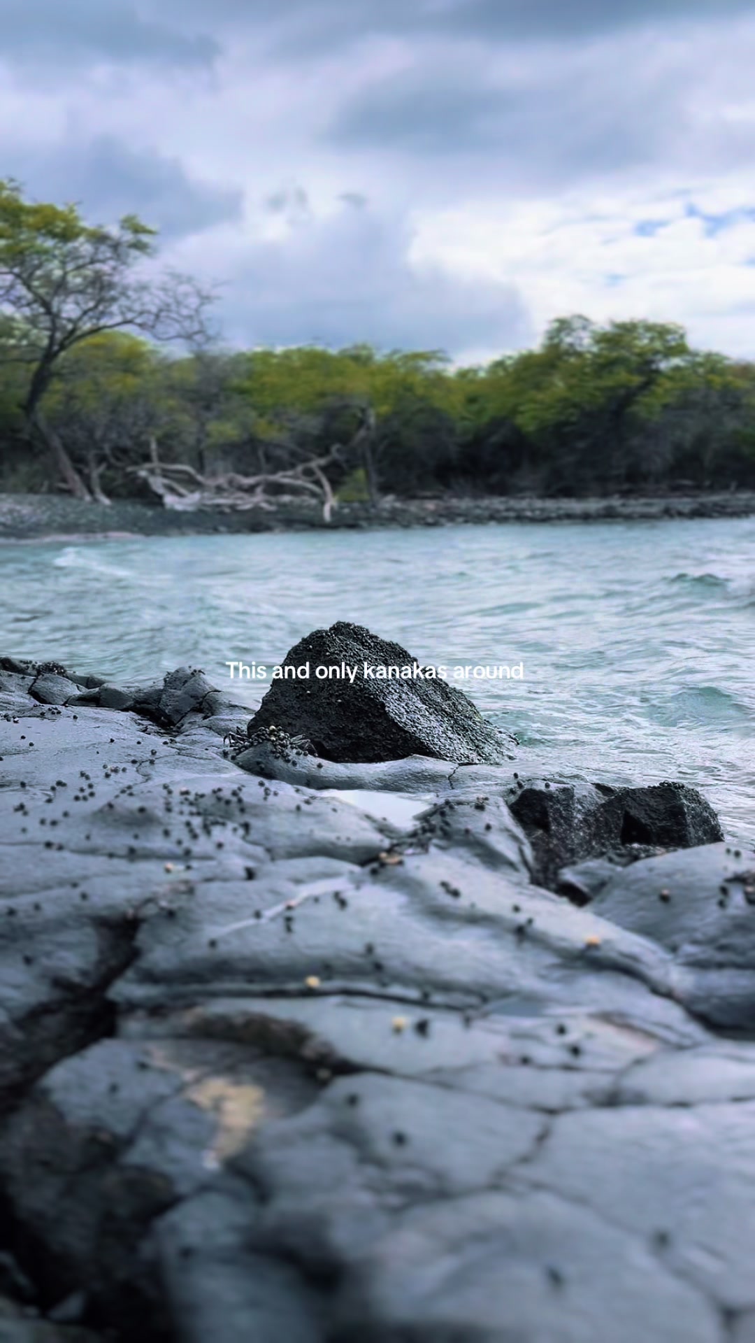 @Hilina’ikamakanali’ili’i Kāne