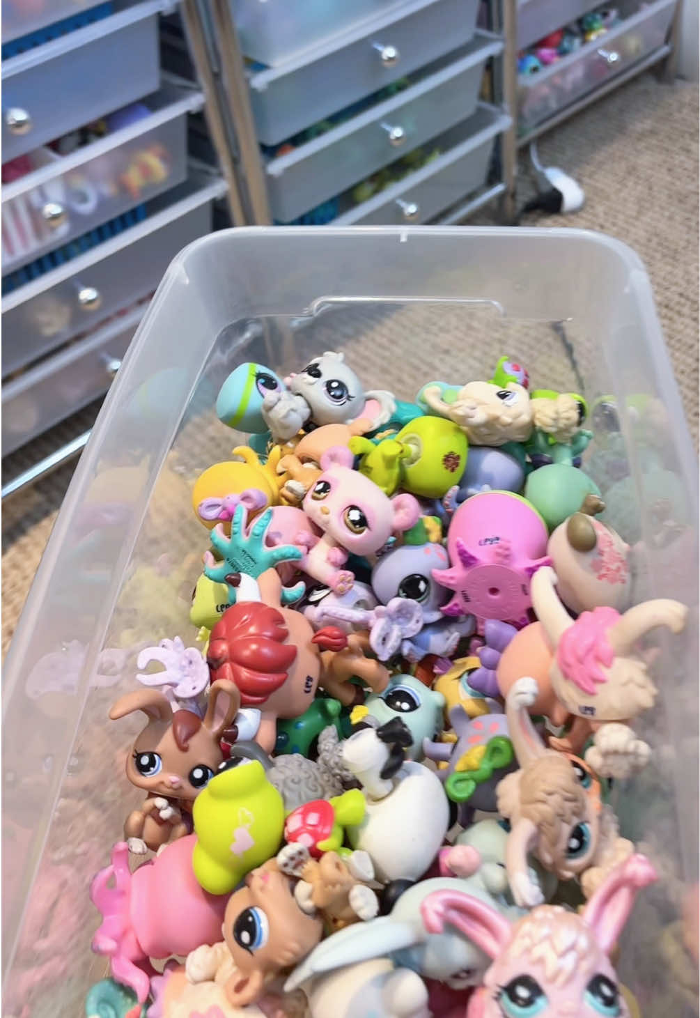 @LPSToyBox
