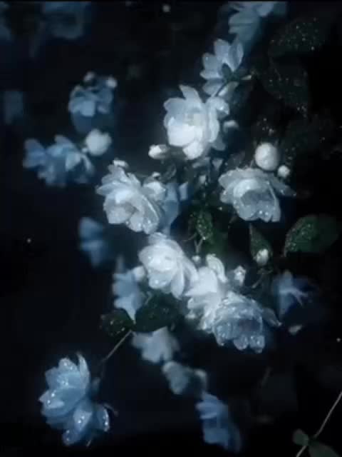 @Aikooooooooooooooooooooooooooo