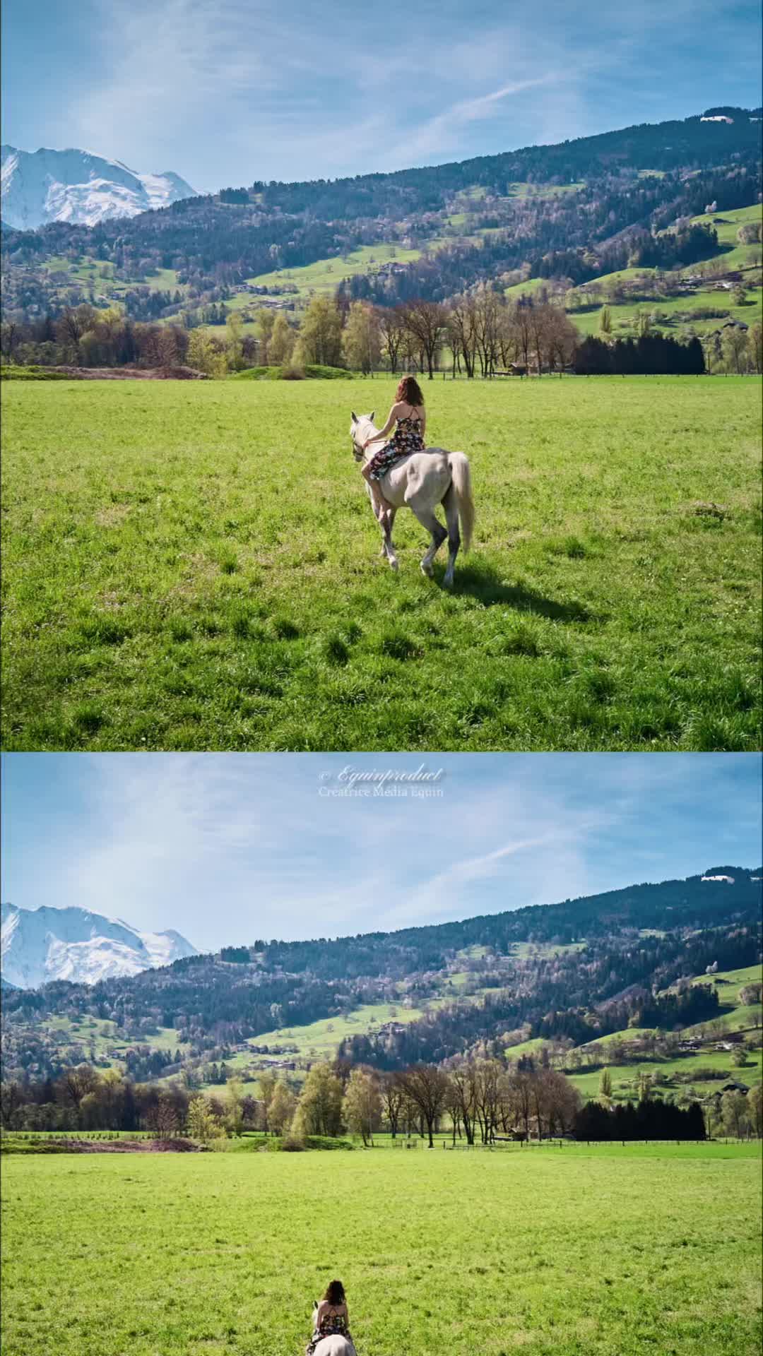 @shoot_equestres