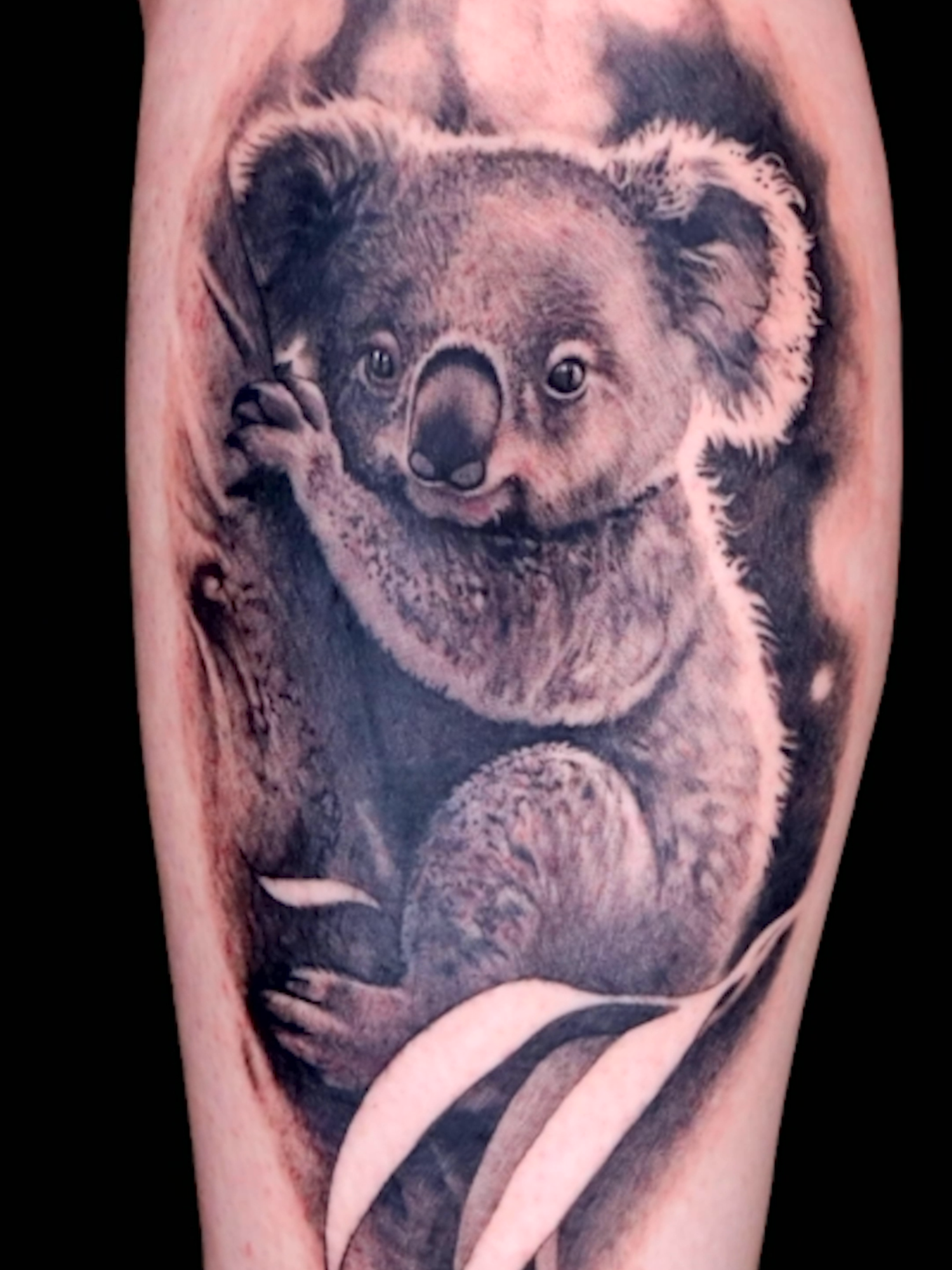 @Ink Master