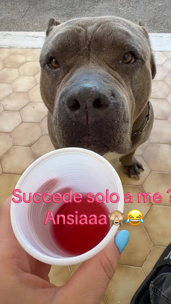 @Vanessa Librando