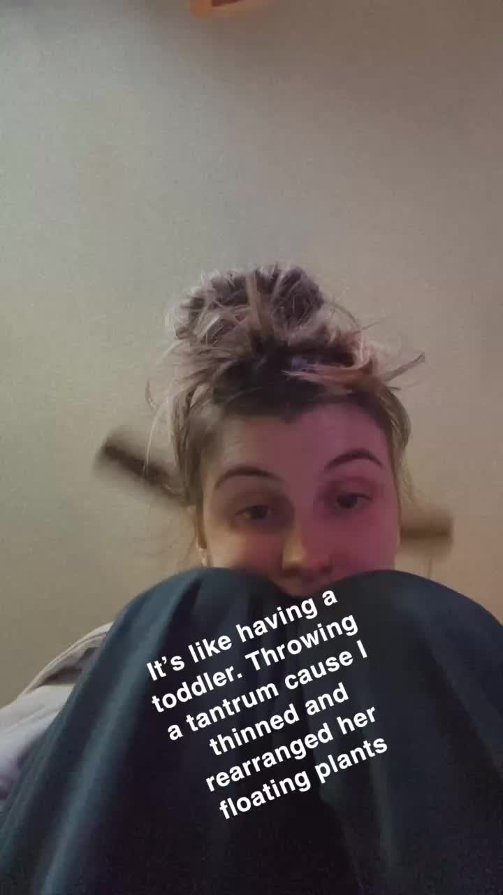 @Haley