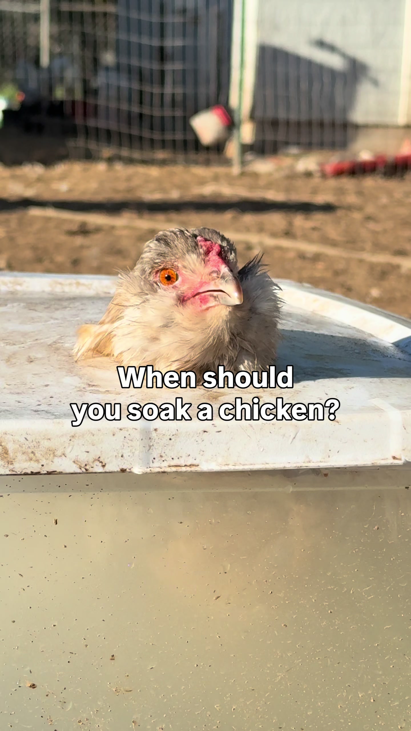 @The Real Estate Chick