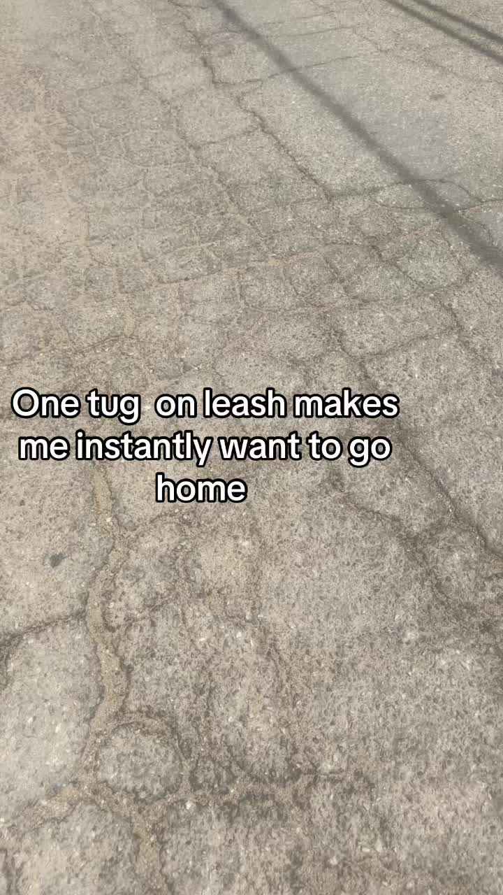 @Lavenderhazzeyy
