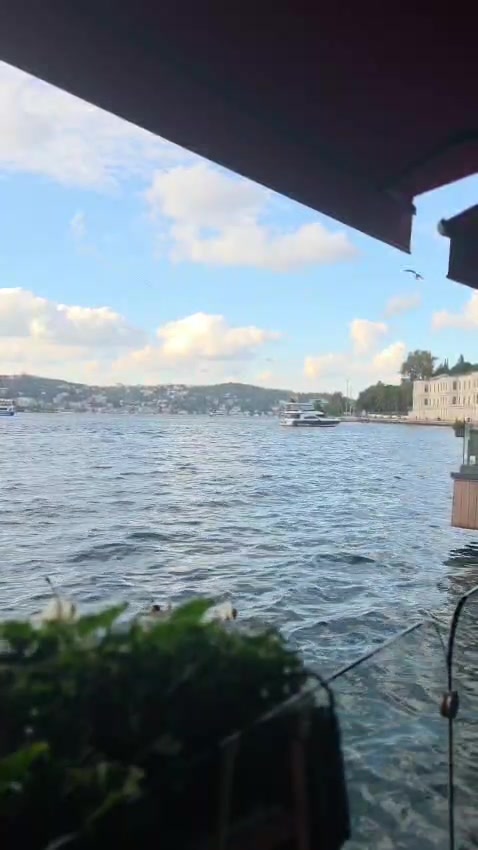 @Gizmli Hatun