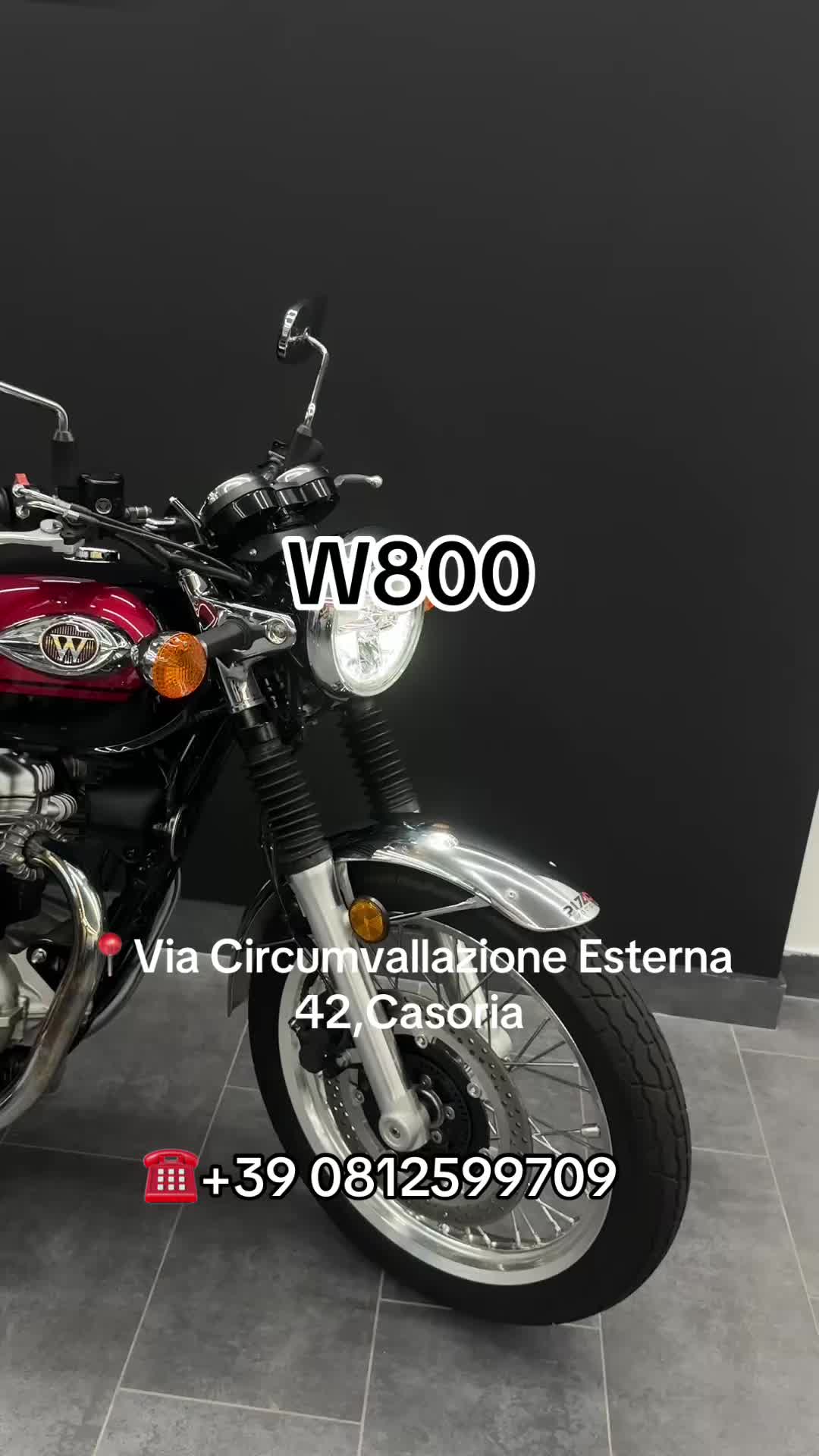 @Pizzo Motors Srl
