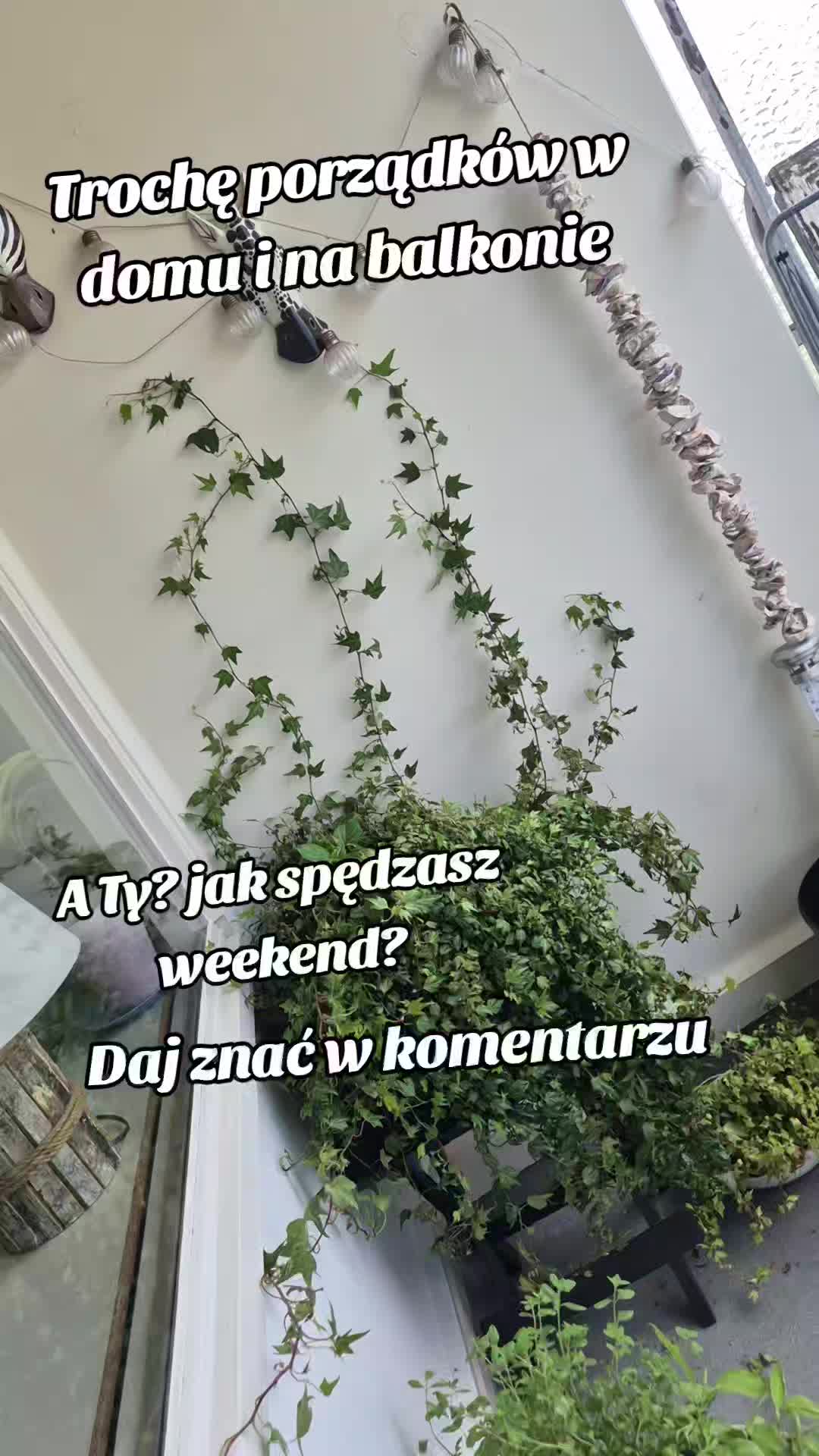 @Aleksandra✨SunCatchersArt✨