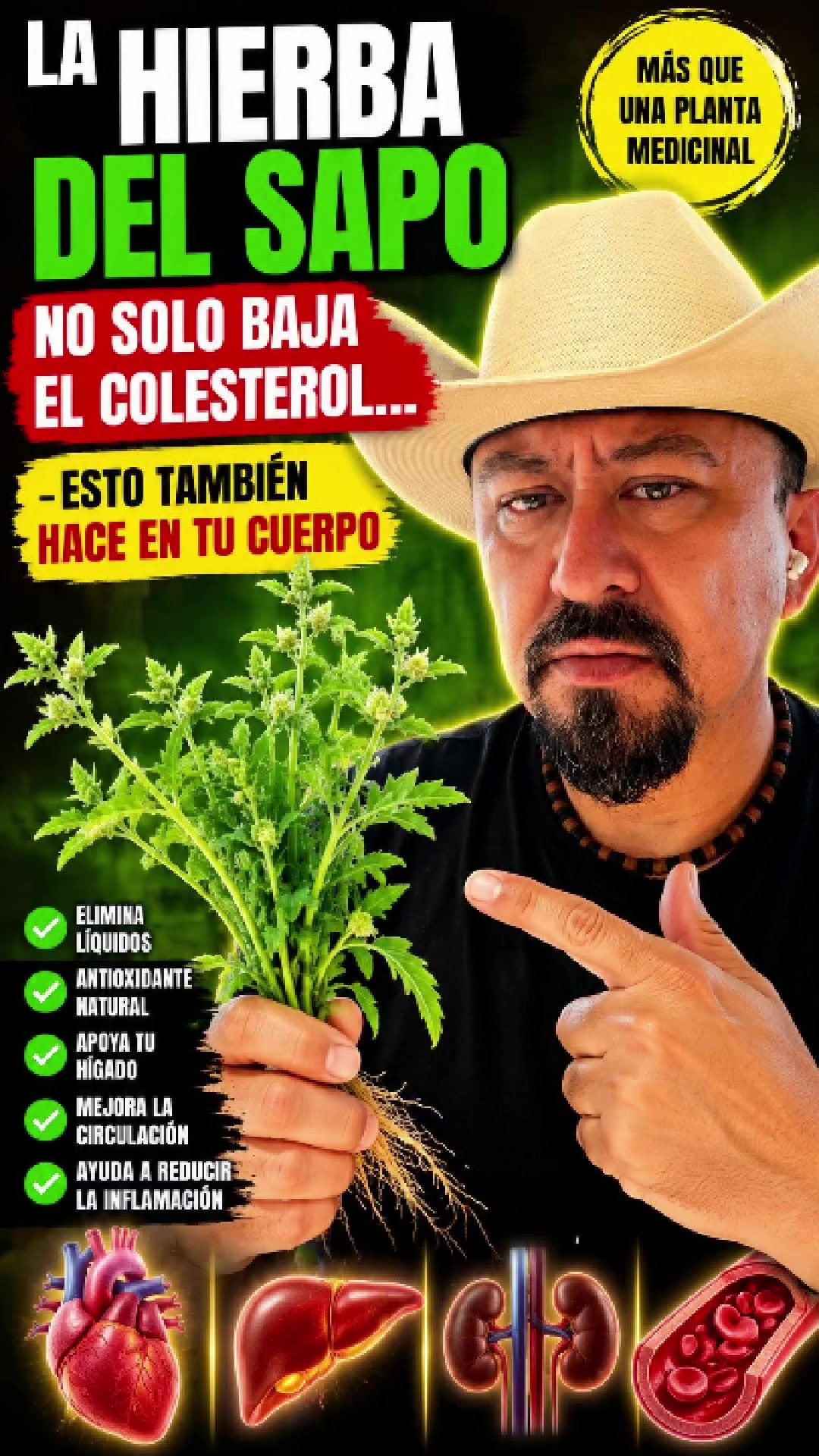 @ElHierbero