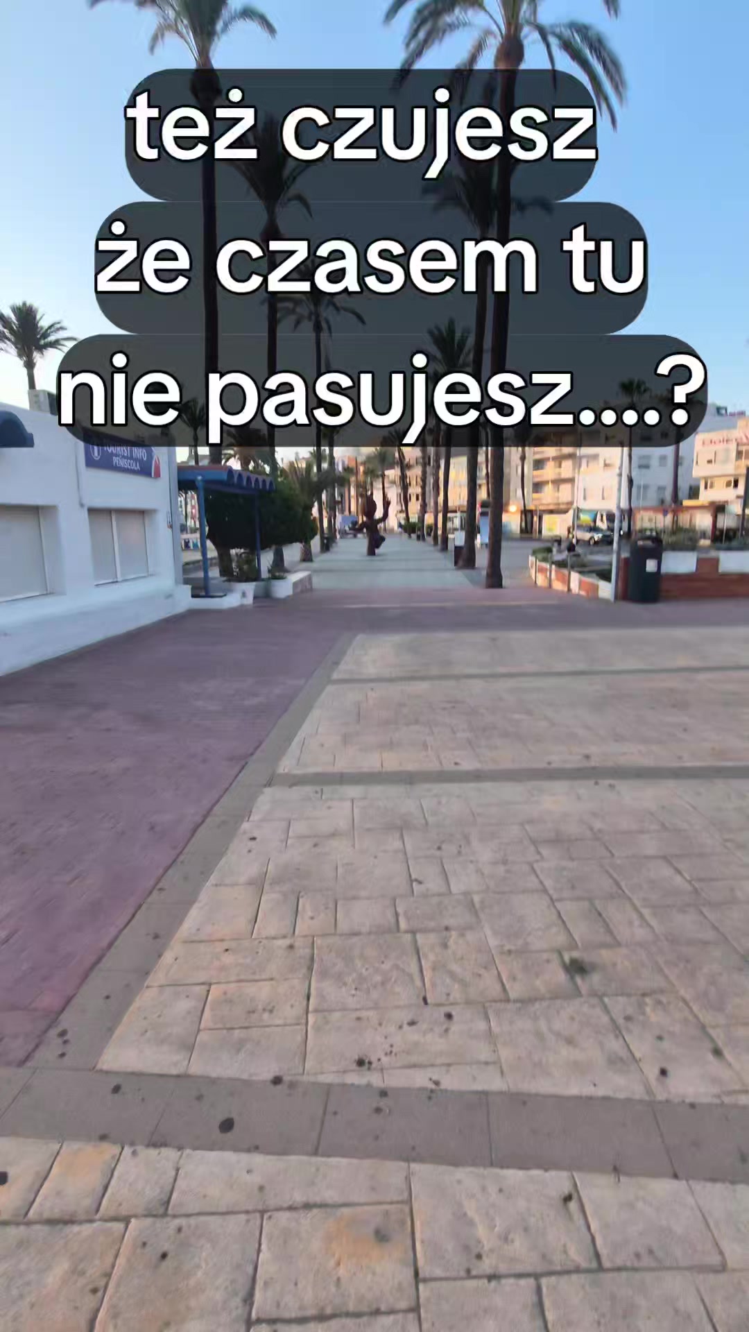 @Śladami Zebry