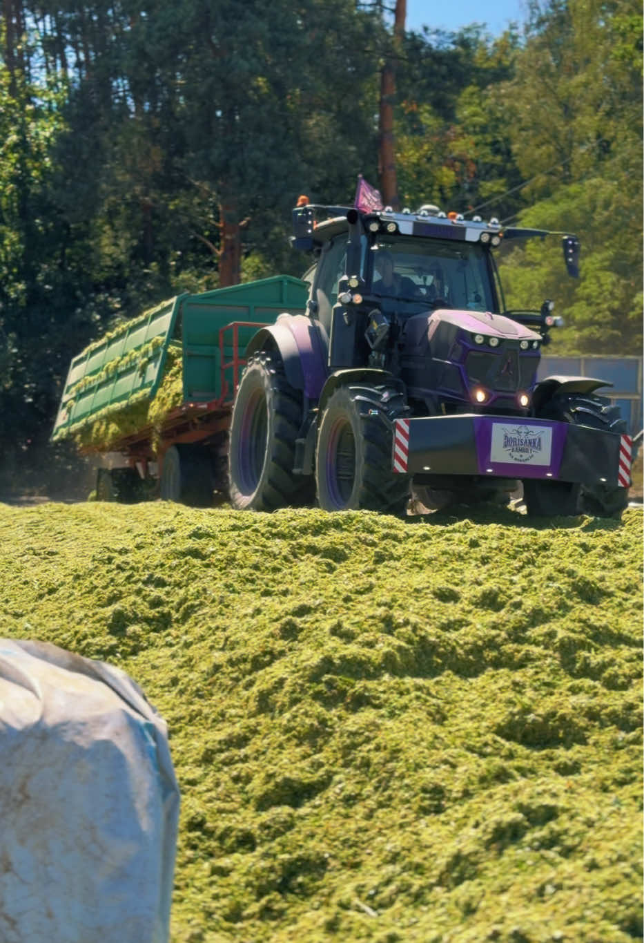 @🚜✨𝑫𝒐𝒓𝒊𝒔𝒂𝒏𝒌𝒂✨💜