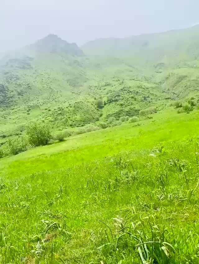 @Sait 3030