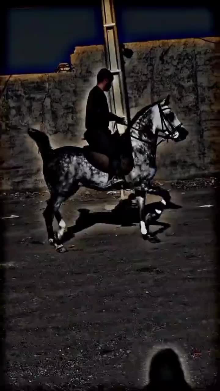 @⫸𝙈𝙞𝙍𝙯𝘼✫𝙎𝙖𝙍𝙆𝙖𝙍✫⫷
