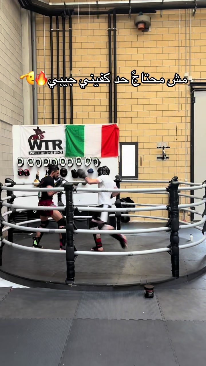 @taha el makarem