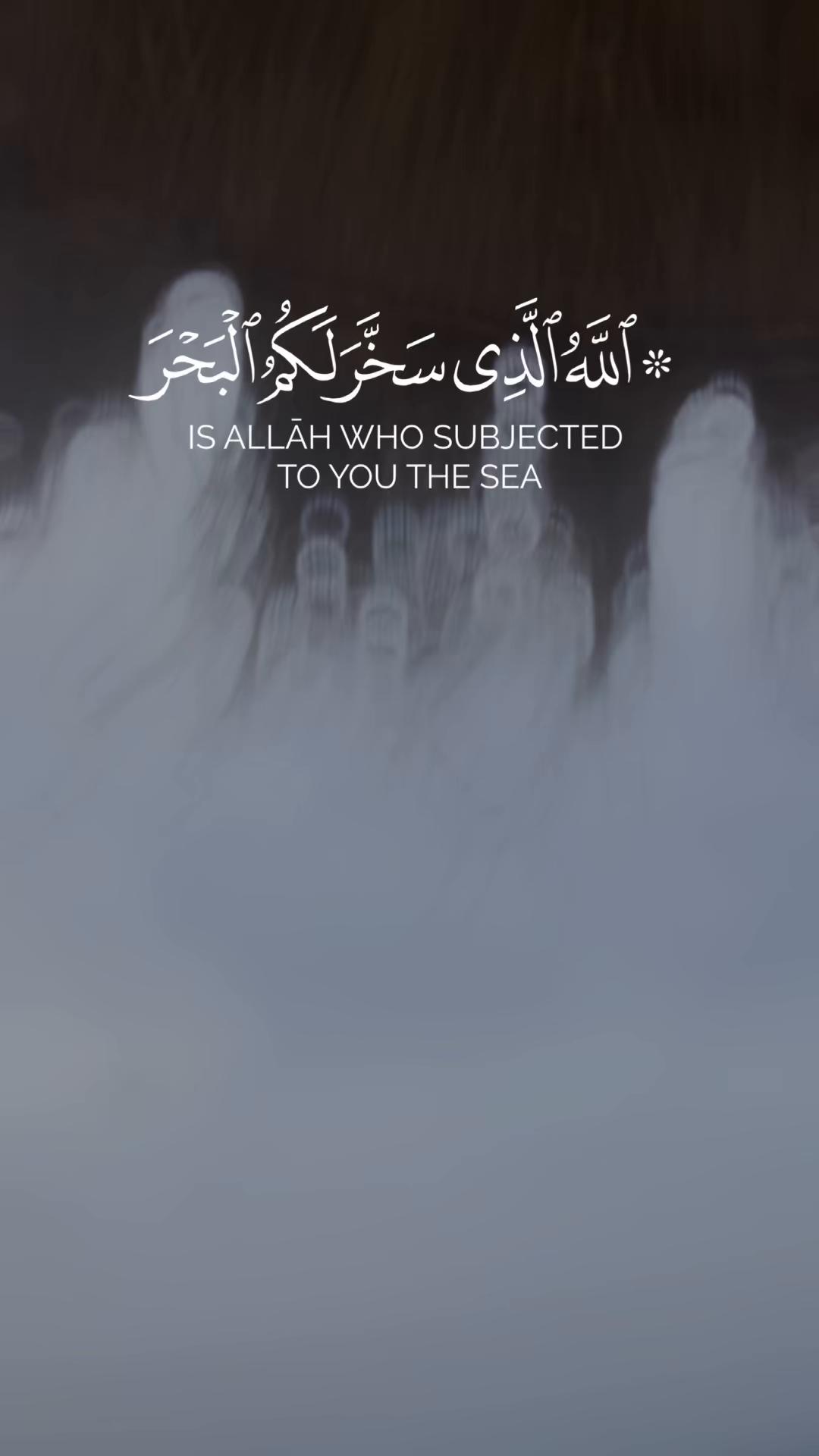 @mansourlagha