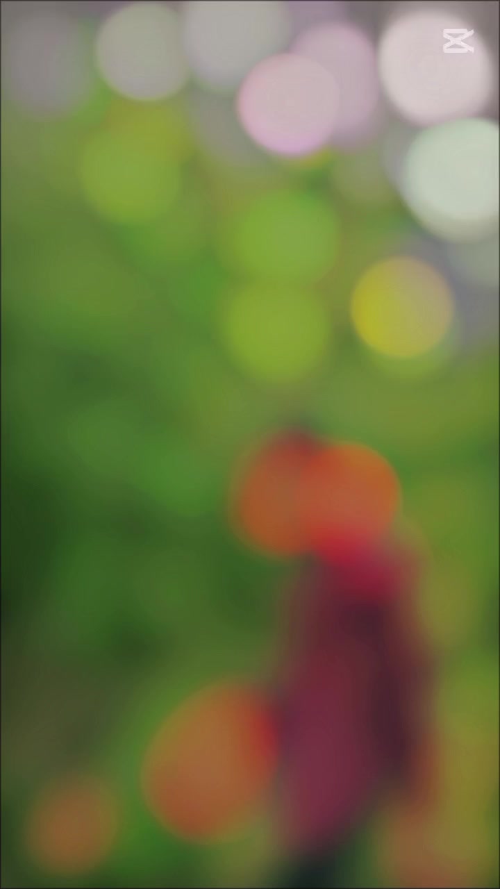 @亗YꫝDꫝVメSꫝRKꫝRᥫ᭡፝֟፝֟