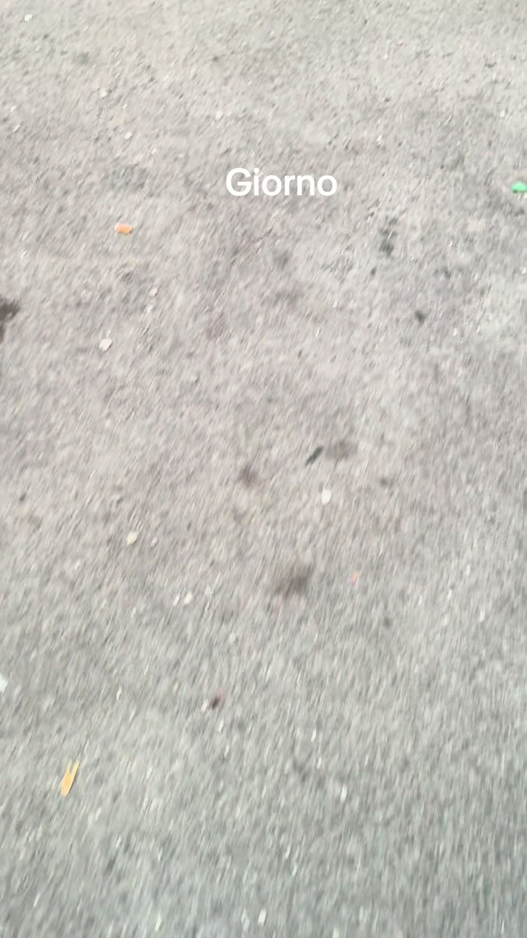 @salvobarra0