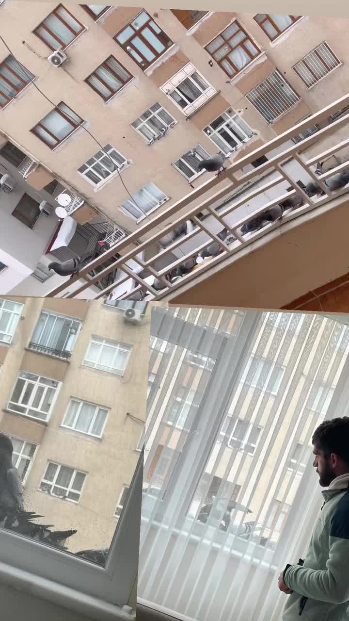 @Hülya Ay