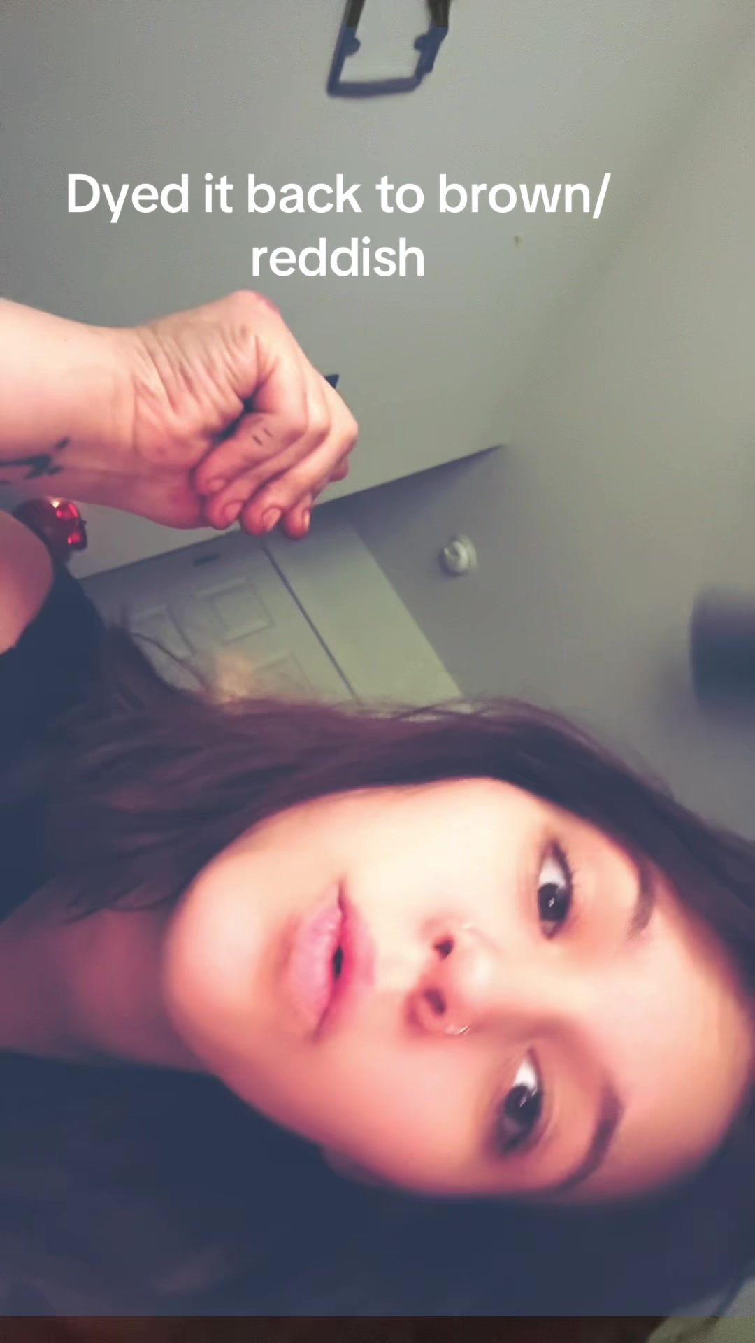 @bugbugbuggy11👑