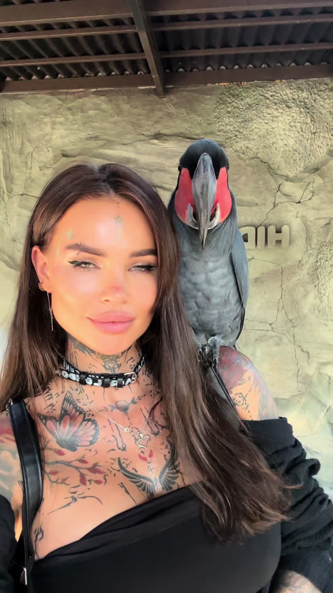 @Krasivchik