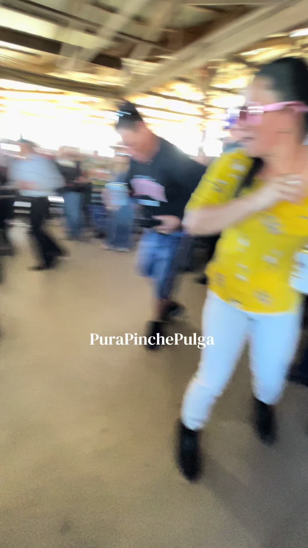 @PuraPinchePulga2