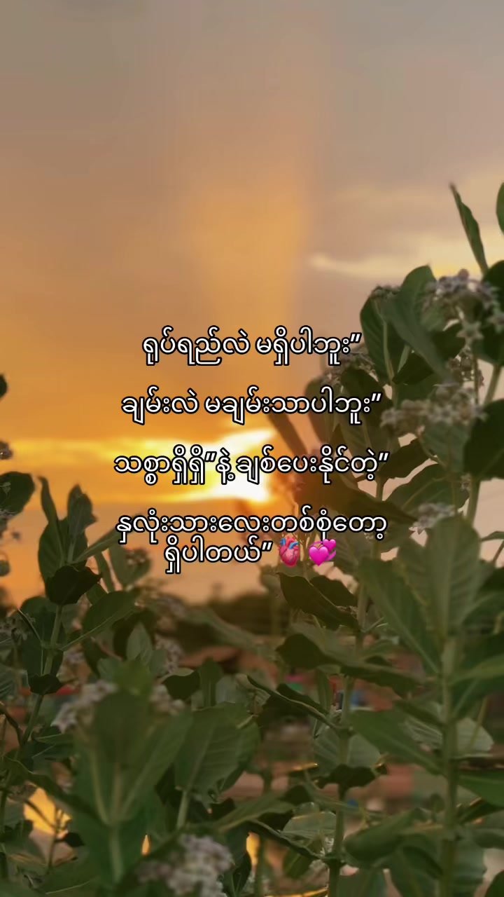 @๐๐จ๐ช๐๐ก๐ข๐ง๐(Official2.8M)
