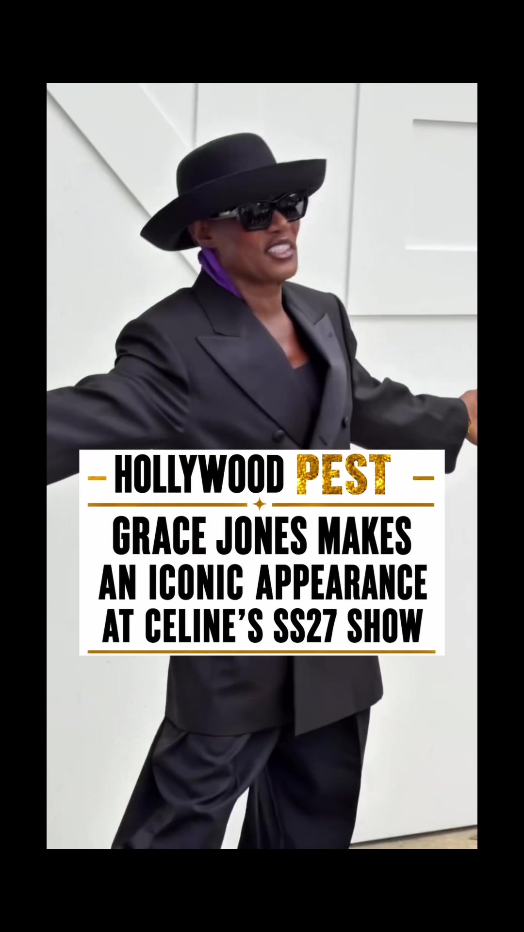 @hollywoodpest