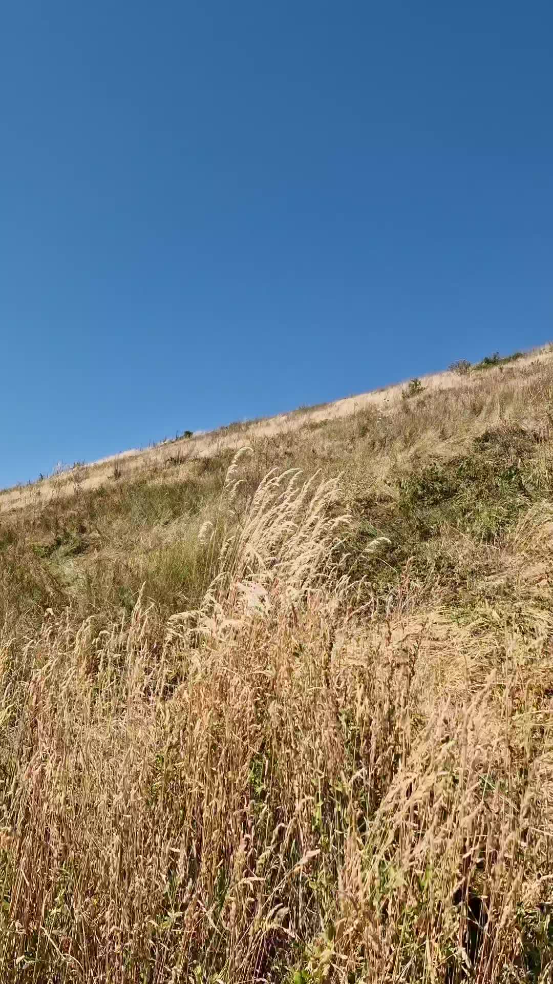 @Hüsi