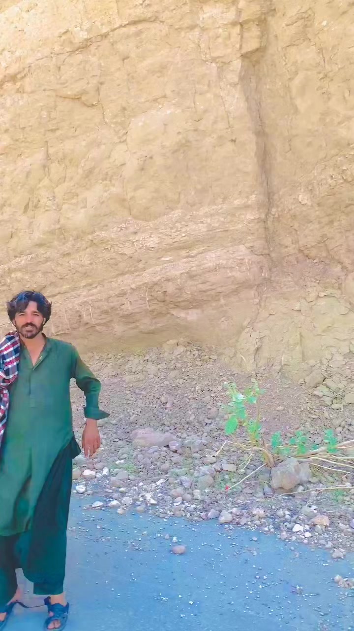 @manzoorahmed