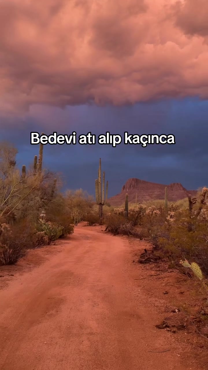 @rolland