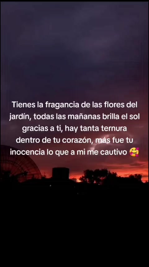 @Jocelyn Sauria Rex 🐦&zwj;🔥🦊🦖❤️