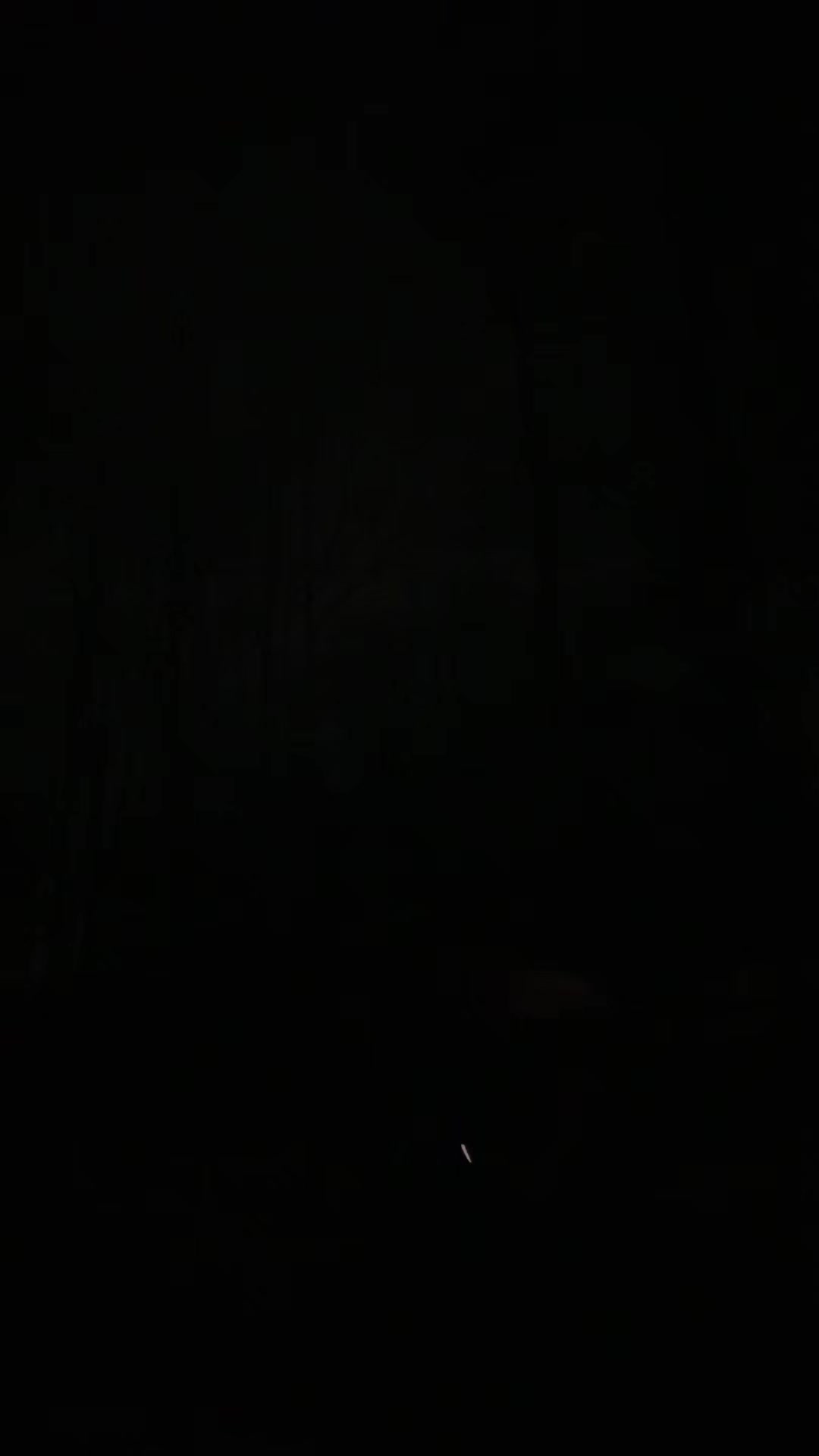 @T-Dogtocrazzy