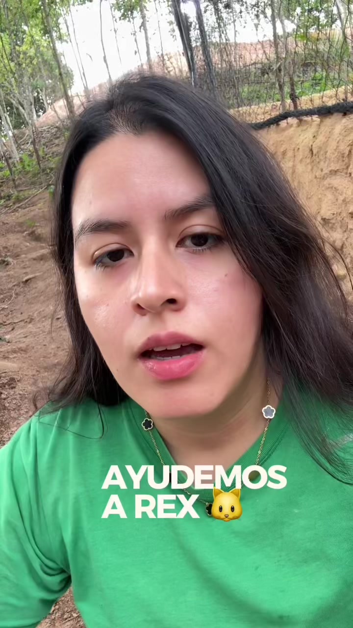 @La Casita del Avestruz