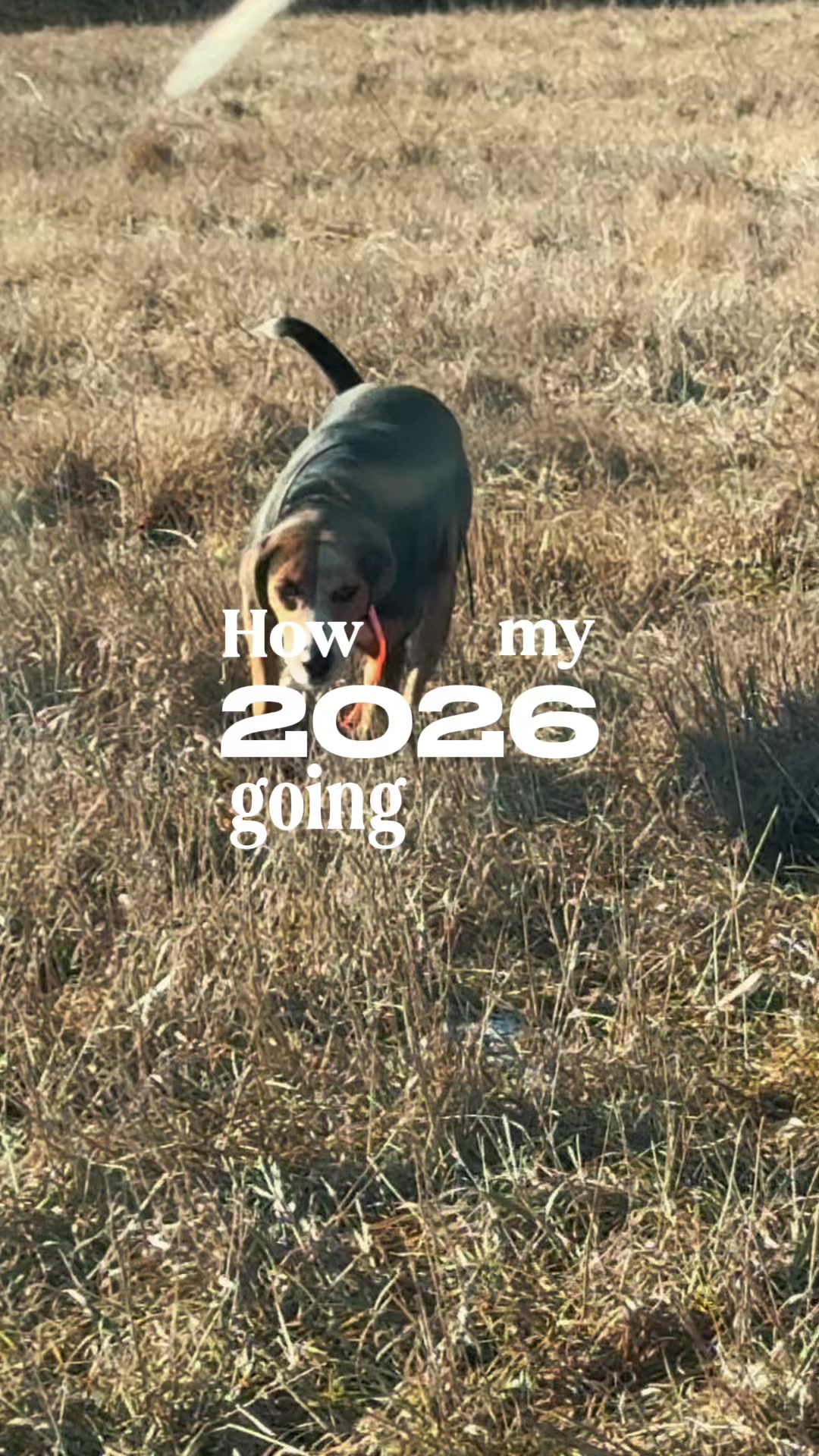 @Hey Mickie