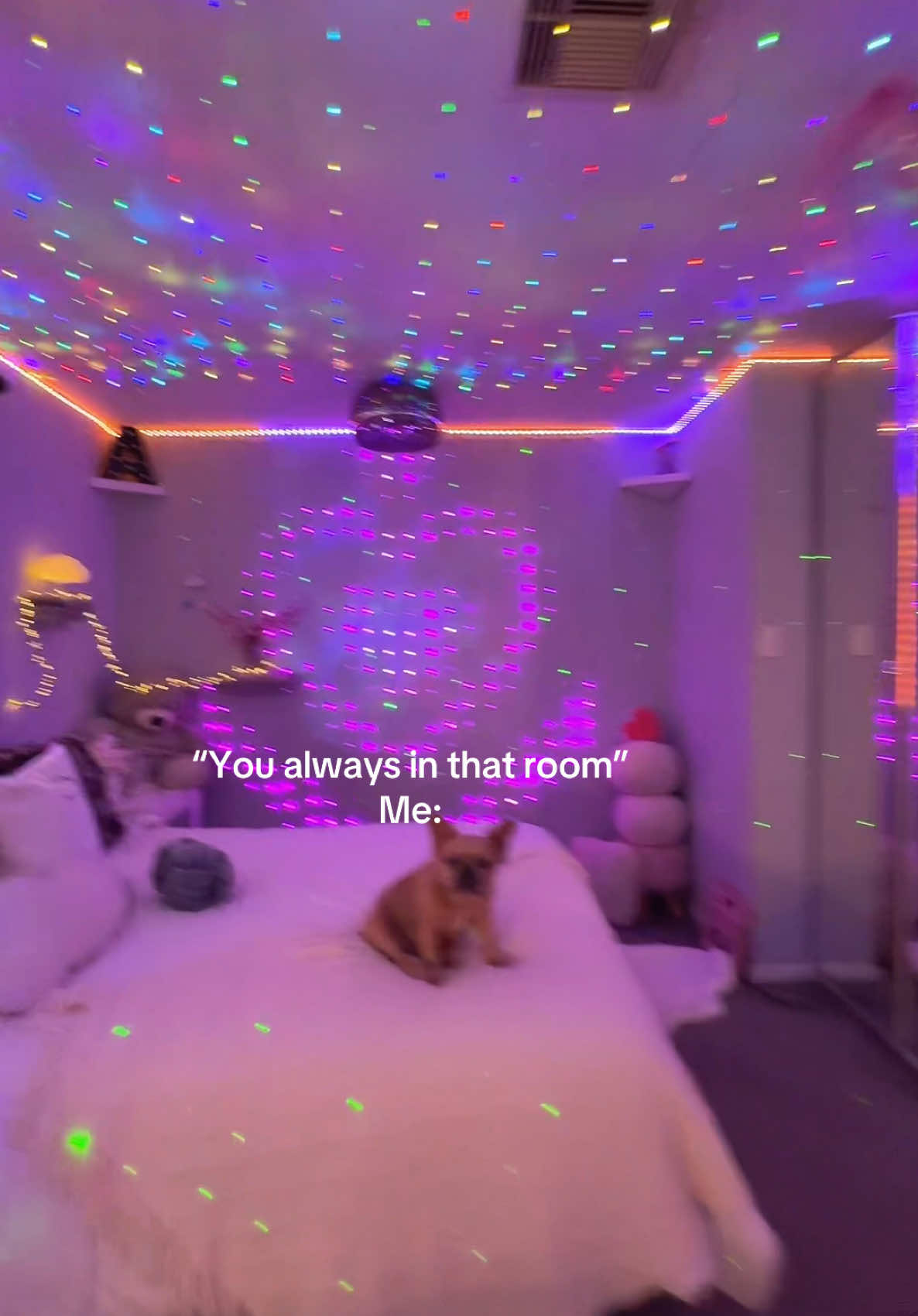 @Anna🦄✨