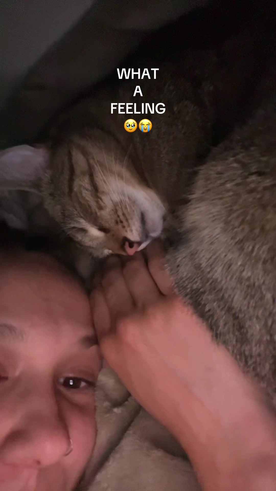 @natimachts