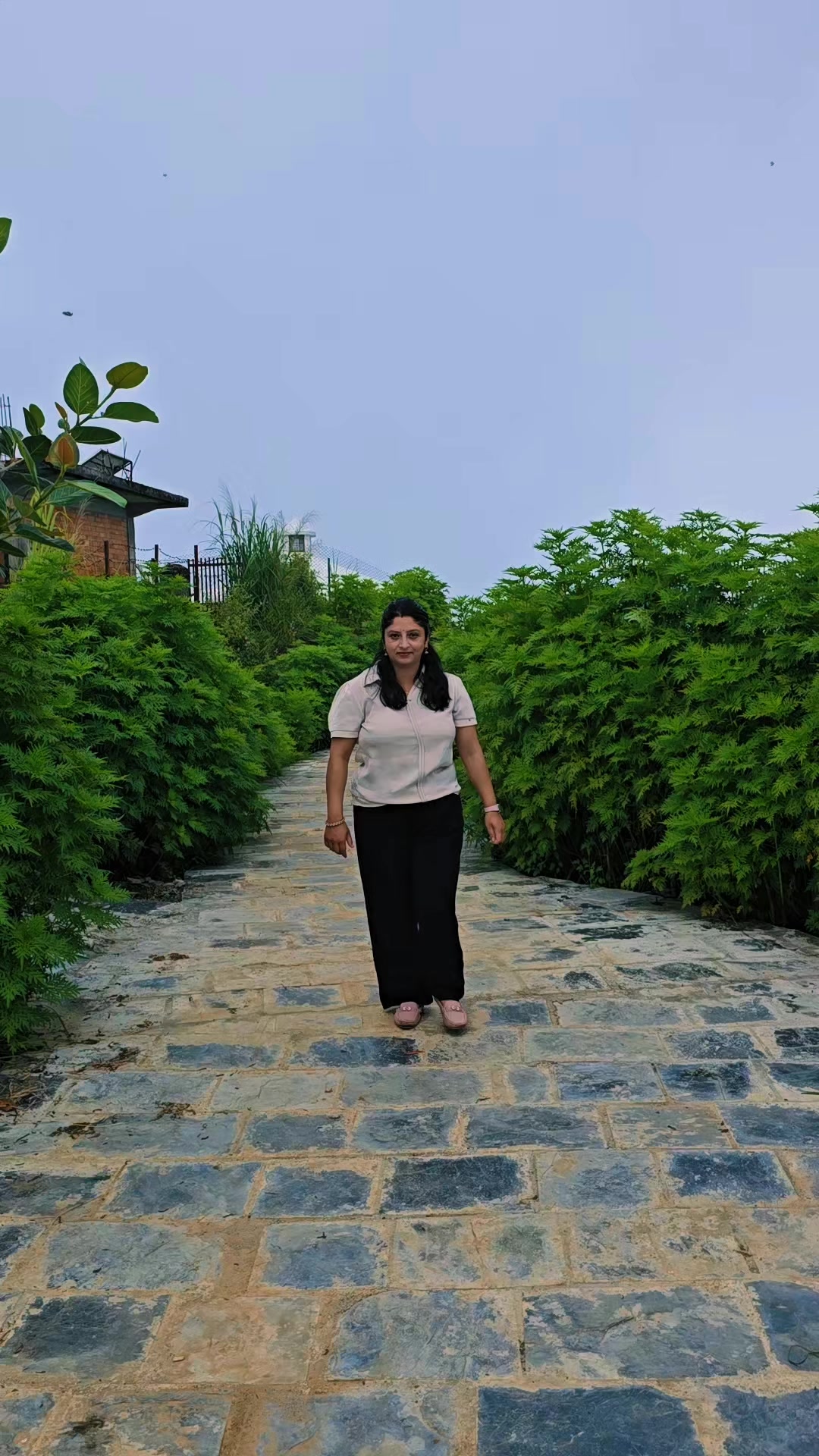 @kamalasubedi
