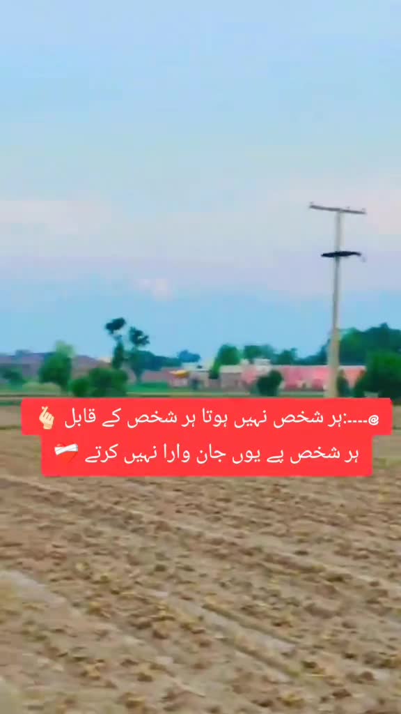 @Mehar Majo🇵🇰