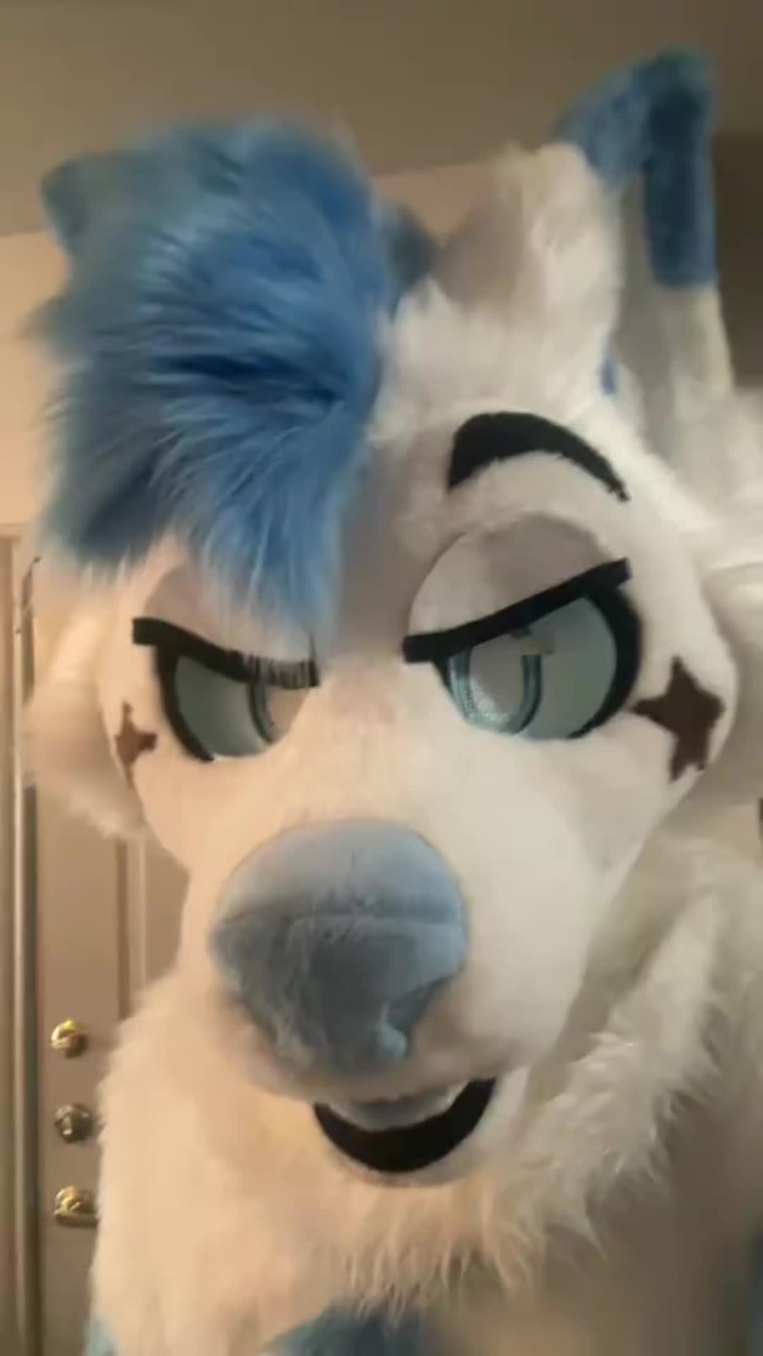 @BlueFoxNova